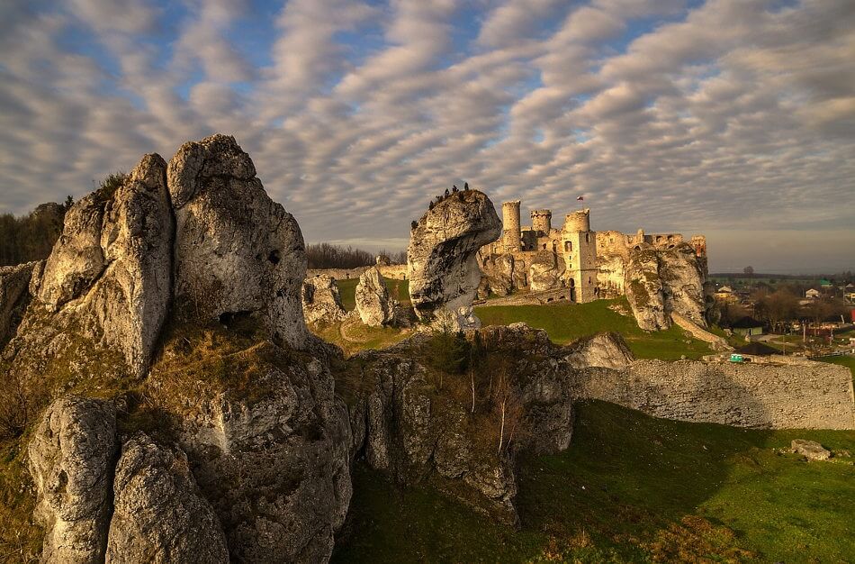 wycieczka do ogrodzinca